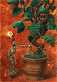 plante carnivore 72dpi